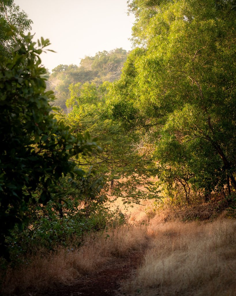  Moira, Goa's Best-Kept Secret 
