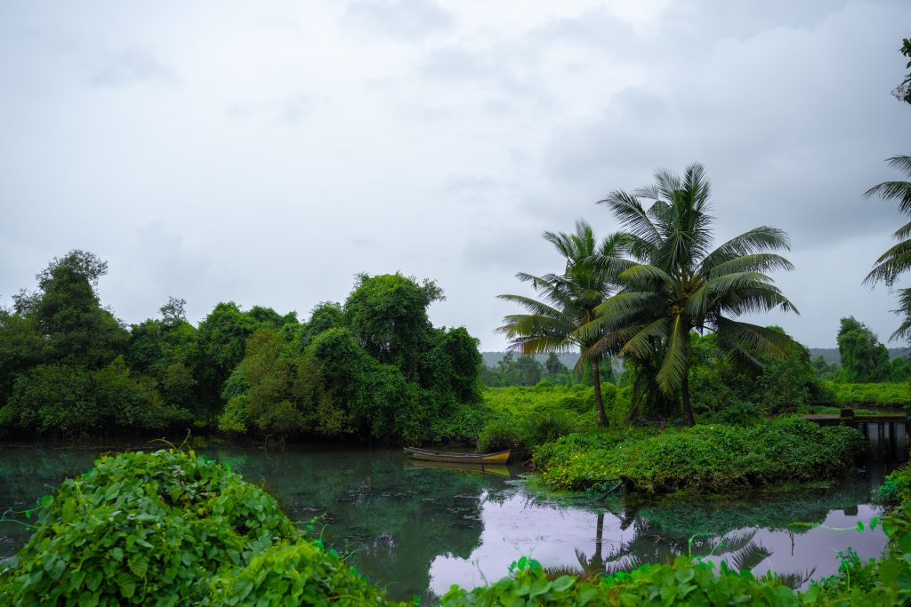 Home For Sale In Goa - River