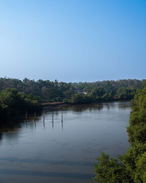 Inside Aldona: Where Goan Heritage Meets Quiet Luxury